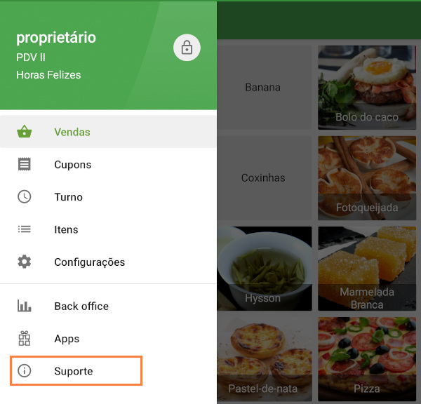 seção Suporte